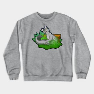 Greystripe Crewneck Sweatshirt